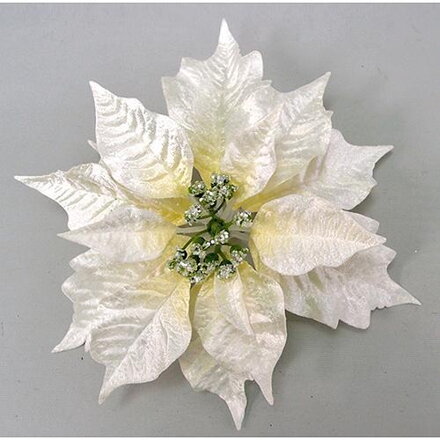 Kvet Poinsettia Clipon23, krémový, 23 cm
