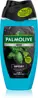 Palmolive SG 250ml FM Sport 3v1