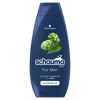 Schauma šampón 250ml FM NV