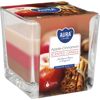 Sviečka SCENTED CANDLE Jablko a Škorica