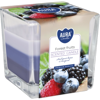 Sviečka sklenená 170g Forest Fruits Sviečka sklenená 170g Forest Fruits
