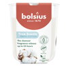 Sviečka Bolsius True Scents, čerstvá balvna, 80x73 mm, v skle