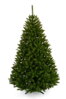 Vianočný stromček smrek sibírsky 2,2 m