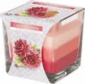 Sviečka SCENTED CANDLE Kaktus