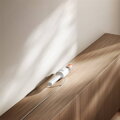 Xiaomi Vacuum Cleaner P30 EU