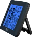 ECG MS 200 Grey Meteostanica