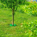 Ochrana TreeGuard®, na stromčeky