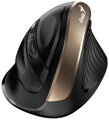 GENIUS Vertikálna myš Ergo 8250S Champagne Gold/ 1600 dpi/ bezdrôtová/ 6tlačítok/ tichá/ čiernozlatá