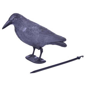 Plašič vtákov Havran, čierny, 38 cm