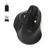 PORT DESIGNS Ergonomic, Bezdrôtová myš (900719)