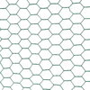 Pletivo HEX 20/1x1000 mm 10 m PVC Skveler zajačie    WW