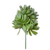 Ozdoba zapichovacia echeveria 19cm