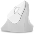 CONNECT IT Ergonomická myš FOR HEALTH wht