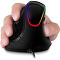 CONNECT IT GAME FOR HEALTH, Ergonomická myš blk