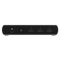 RAIDSONIC ICY BOX - Thunderbolt 4 Dock Station