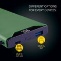 INTENSO F10000, Powerbanka 10000 mAh, zelená