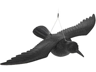 Dekorácia havran čierny 40x57,5 cm lietajúci