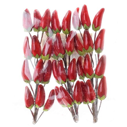 Ozdoba zapichovacia chili sada 2CM dekorácia