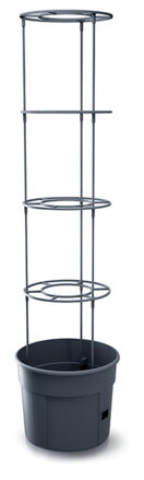 Kvetináč s oporou na paradajky UH o295 mm antracit výška 236 mm