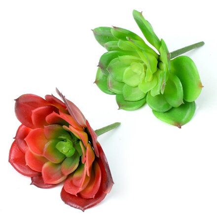 Ozdoba zapichovacia skalnička echeveria 12cm
