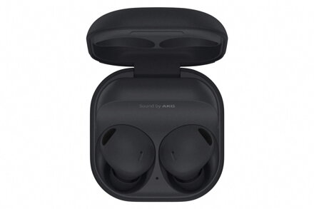 Samsung Galaxy Buds2 Pro SM-R510 Graphite Grey